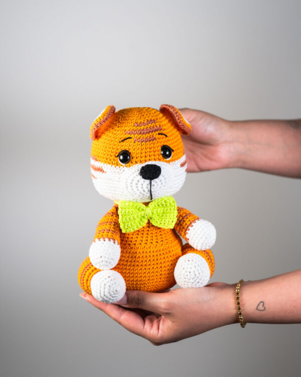 🐯 Teddy Tigrotto